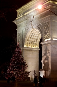 Washington Square Christmas Tree, 2007